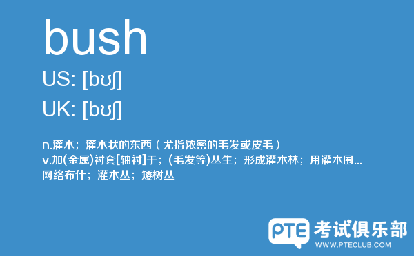 【bush】 - PTE备考词汇