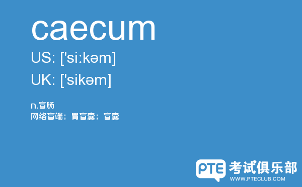 【caecum】 - PTE备考词汇