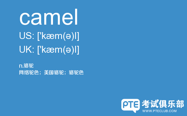【camel】 - PTE备考词汇